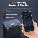 Car Battery Monitor